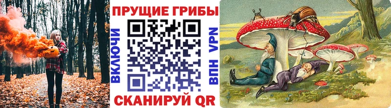 Галлюциногенные грибы мухоморы  Ленинск-Кузнецкий 